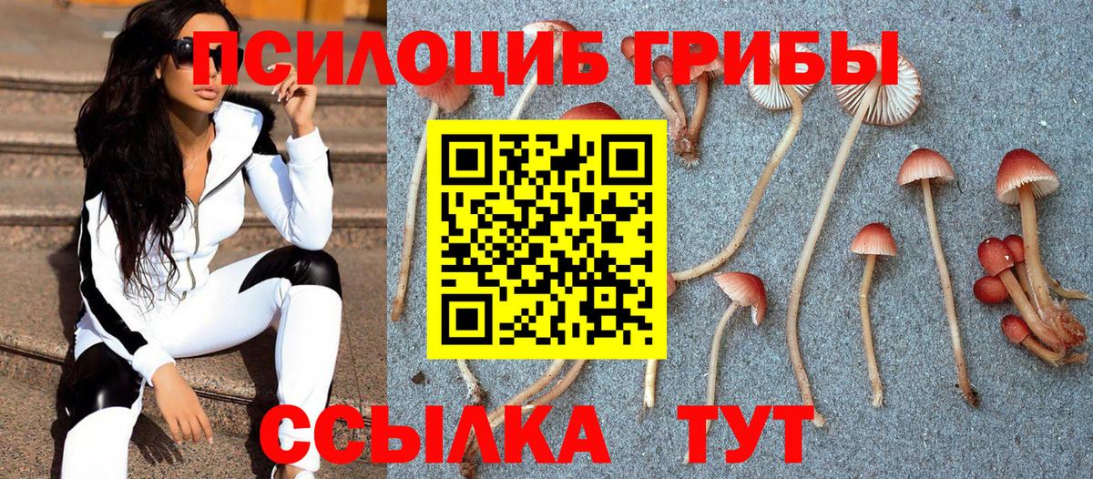 Псилоцибиновые грибы GOLDEN TEACHER  Вход с VPN  Кингисепп 