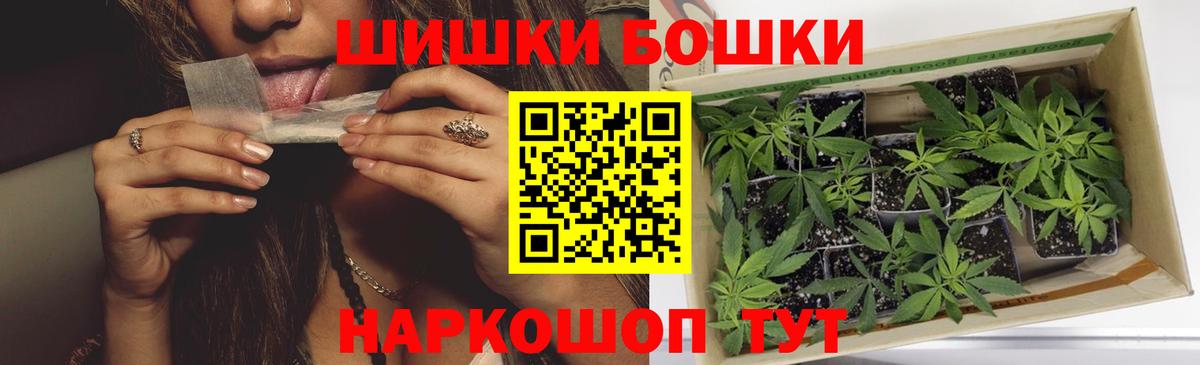 Канабис сатива Кингисепп
